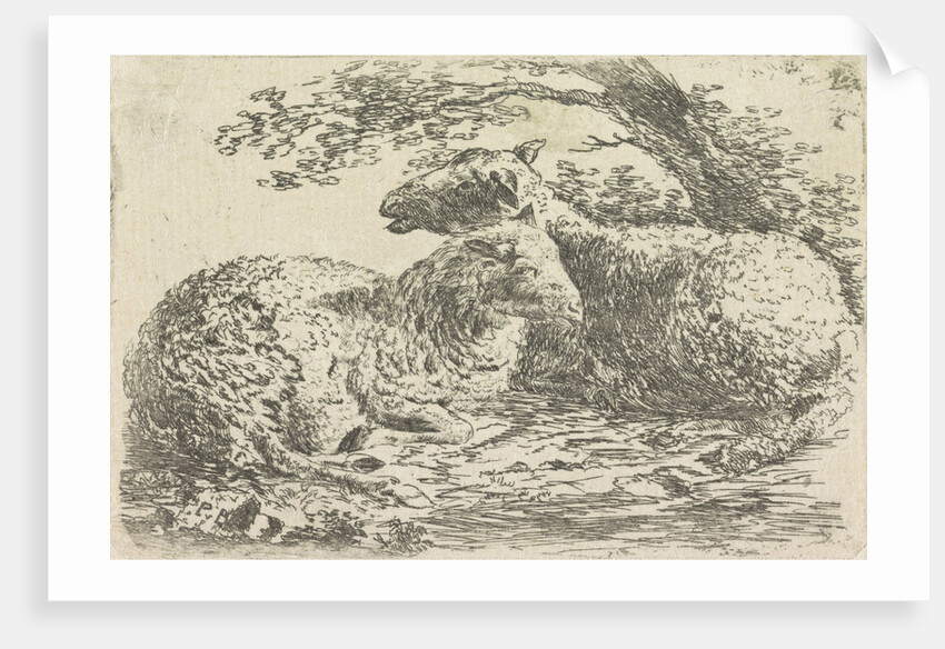 Two sheep by Monogrammist PVB