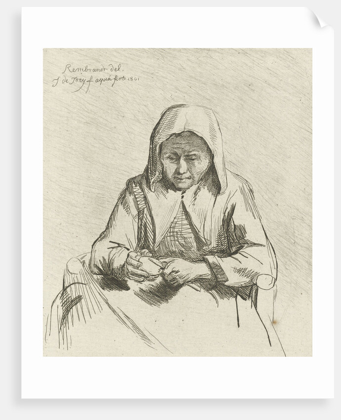 Apple different woman by Johannes Pieter de Frey