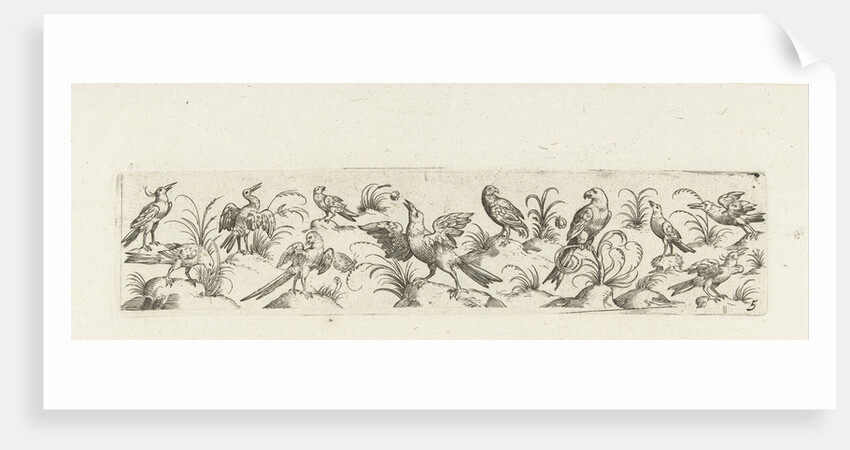 Frieze eleven birds and insect by Marcus Geeraerts