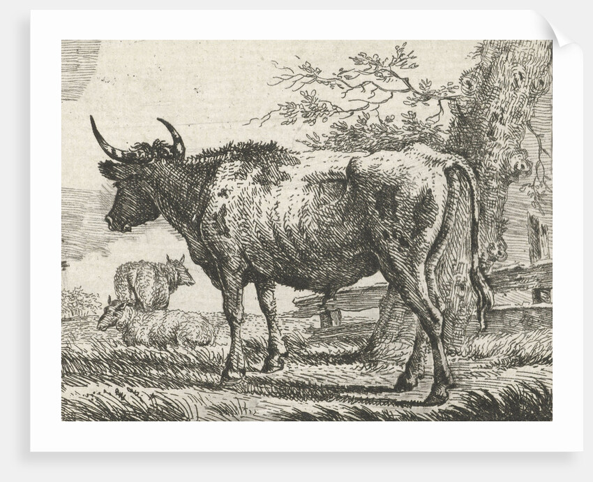 Standing cow with two sheep by Anthony Oberman