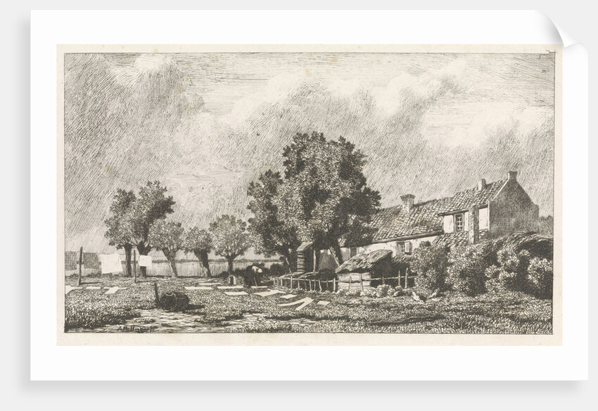 Bleekveld by Alexander Mollinger