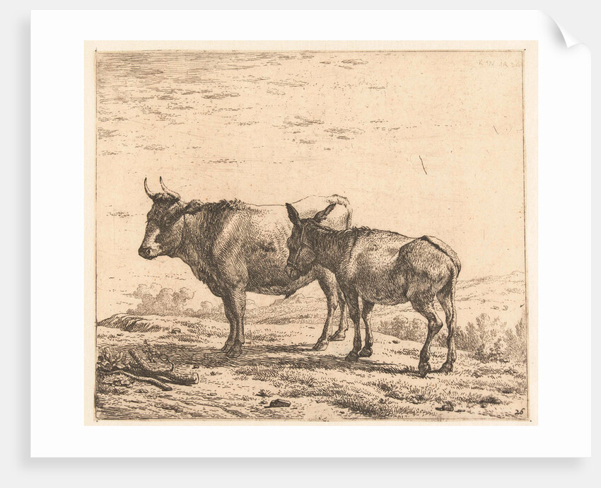 Ox and donkey by Karel Dujardin