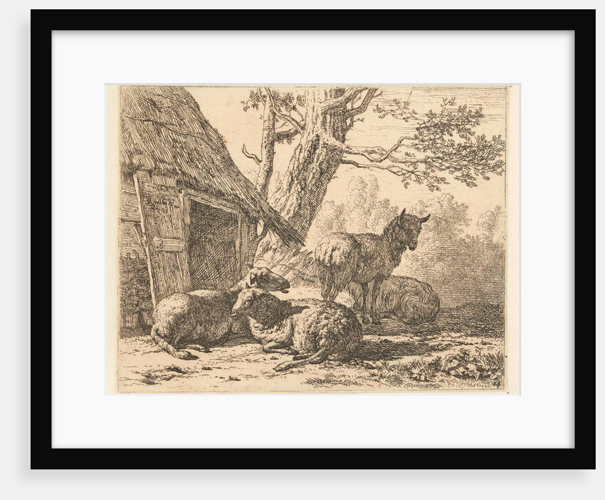 Four sheep by Karel Dujardin