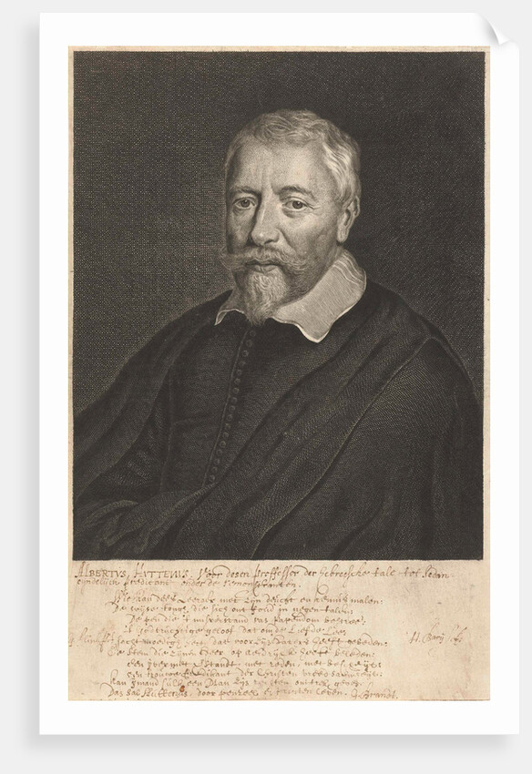 Portrait of Albertus Huttenus by Geeraert Brandt I