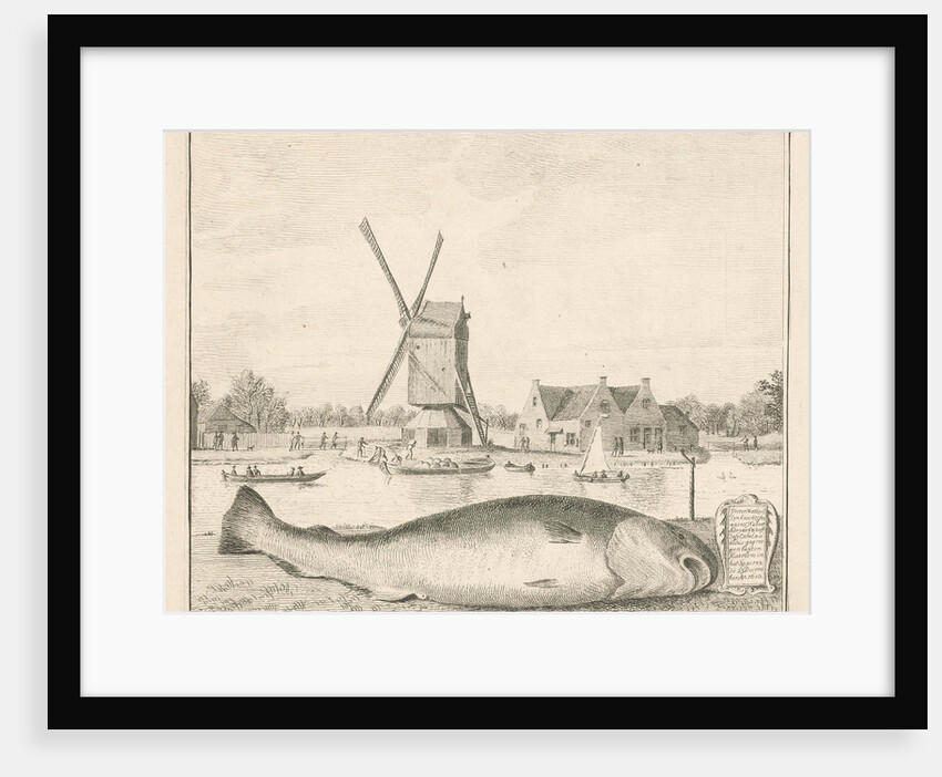 Cod caught in 't Spaarne by Cornelis van Noorde
