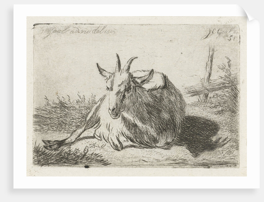 Lying goat, left by Jacobus Cornelis Gaal