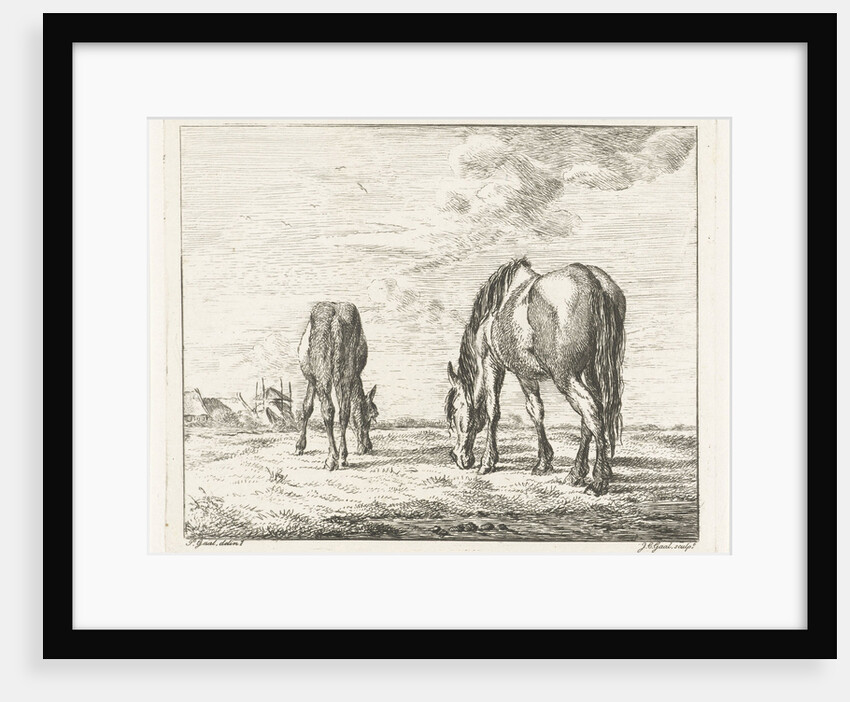 Two grazing horses by Jacobus Cornelis Gaal