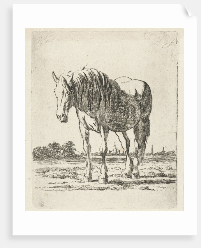 Single white horse by Jacobus Cornelis Gaal