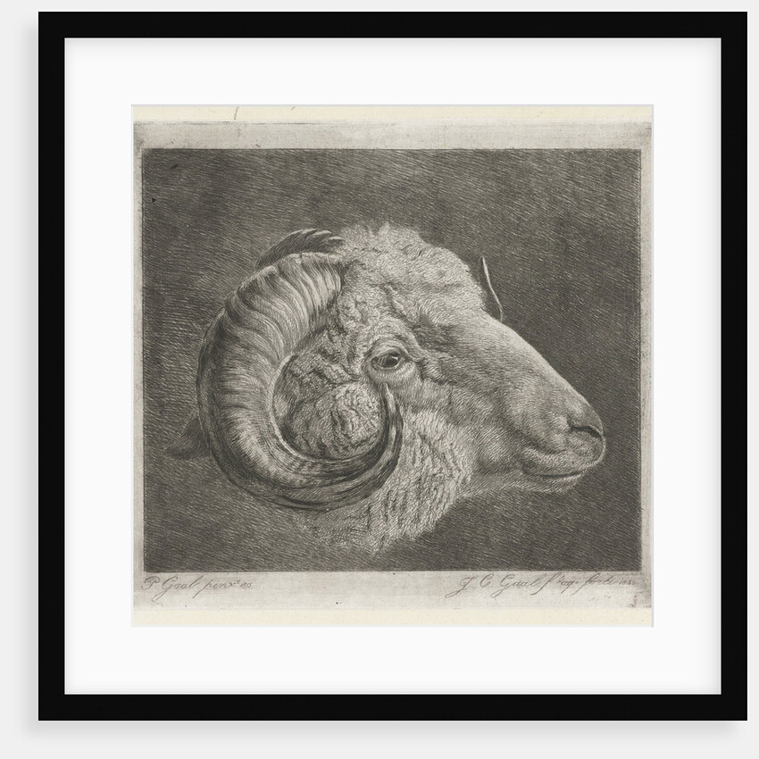 Head of a ram to the eye curved horn by Pieter Gaal