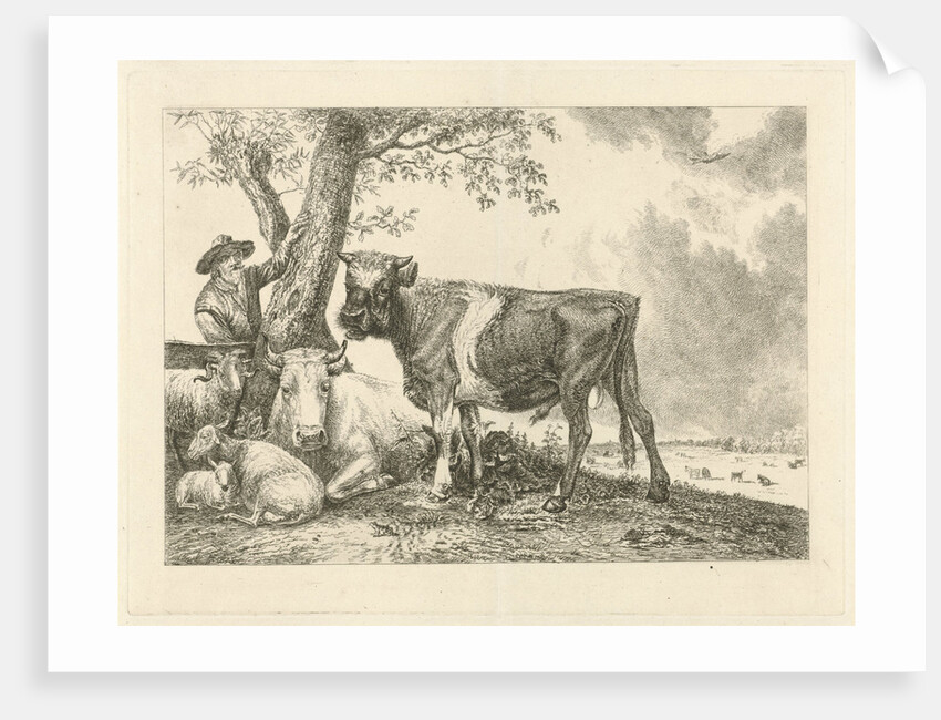Taurus and farmer by Paulus Potter