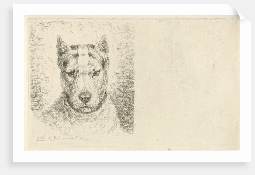 Dogs head with collar by Johannes Mock