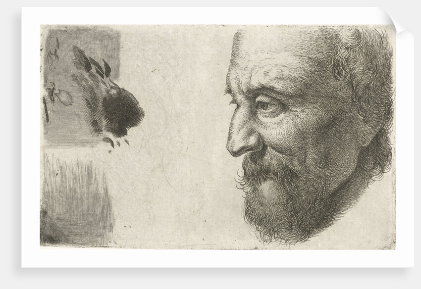 Face of an old man in profile by Johannes Mock