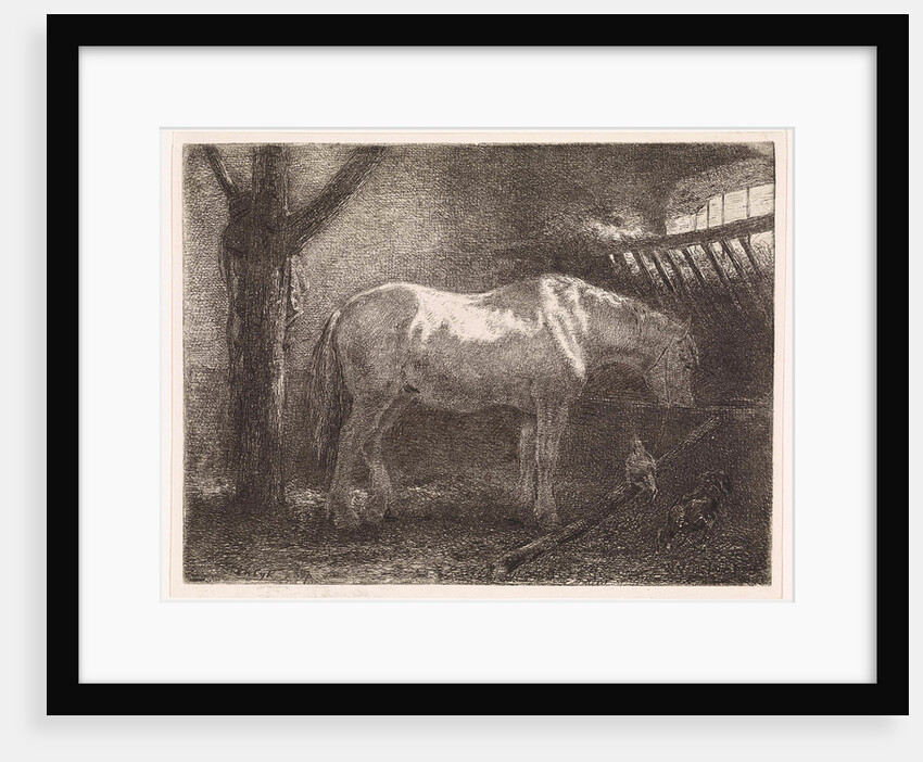 Horse in stable by Jan Vrolijk