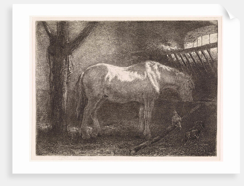 Horse in stable by Jan Vrolijk