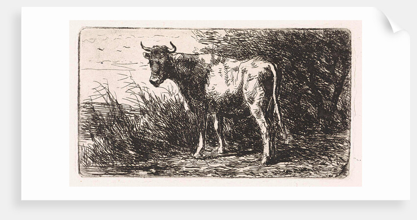 Cow on the bank of a river by Jan Vrolijk