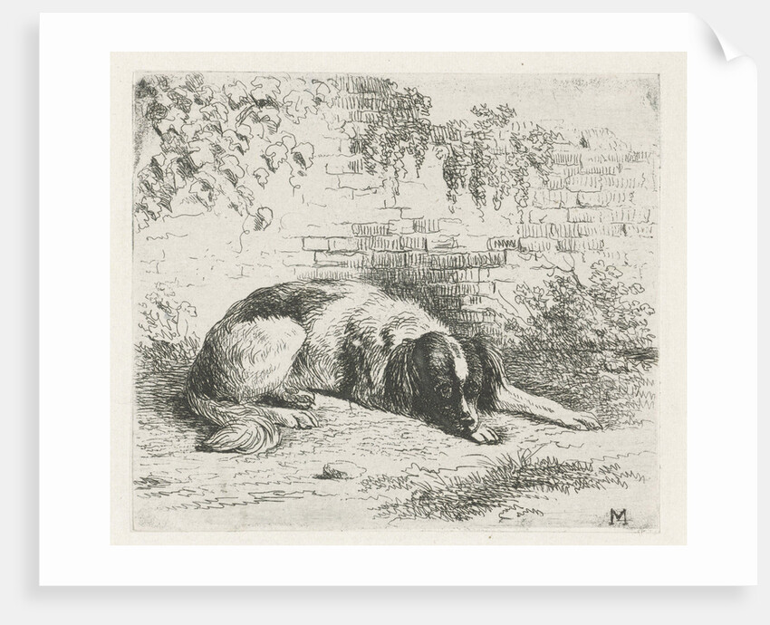 Reclining dog in front of a wall by Christiaan Wilhelmus Moorrees