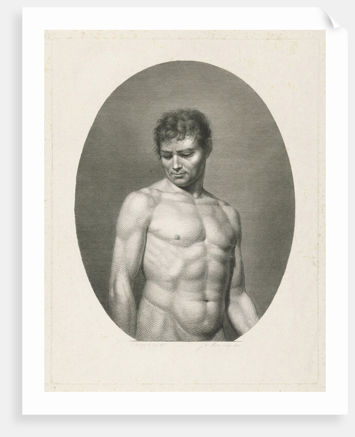 Female nude by Johannes de Mare