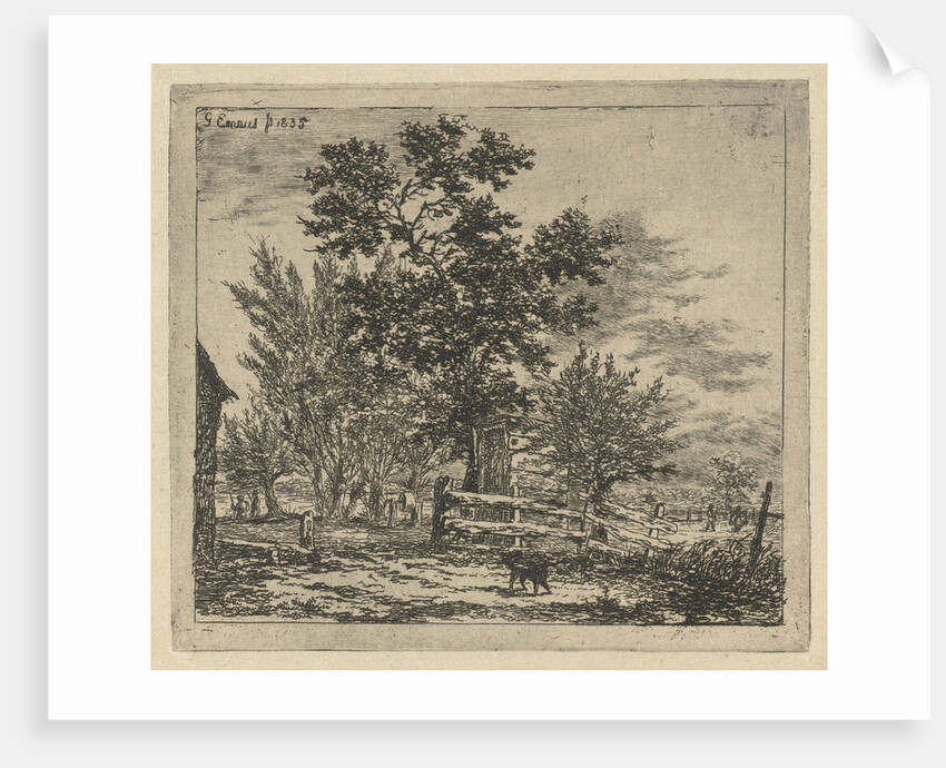 Dog in yard by Gerardus Emaus de Micault