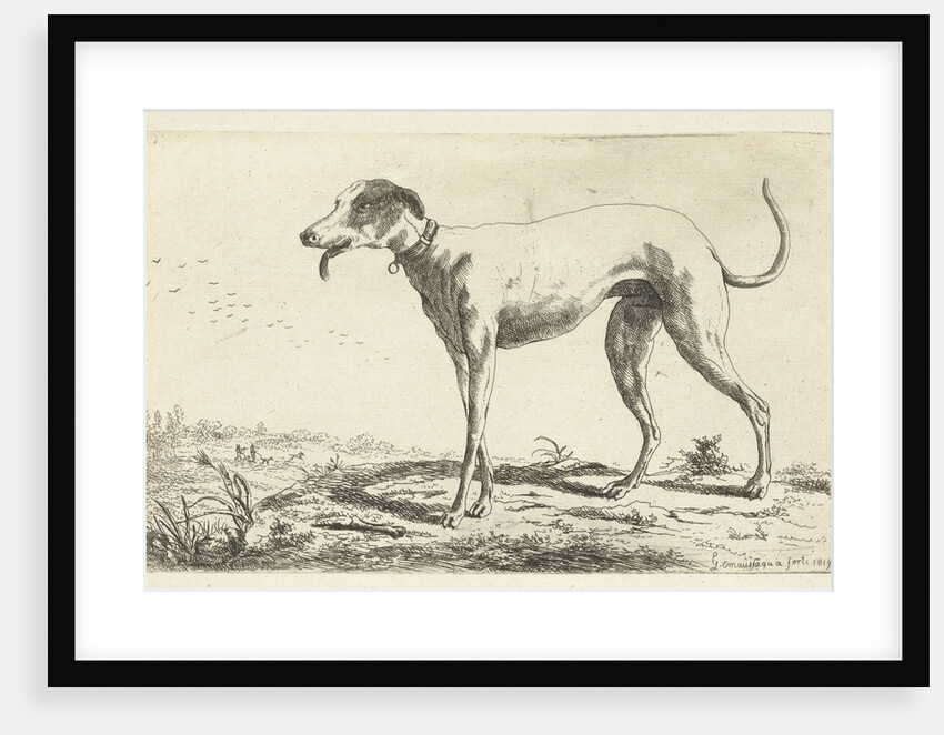Greyhound Diana by Gerardus Emaus de Micault