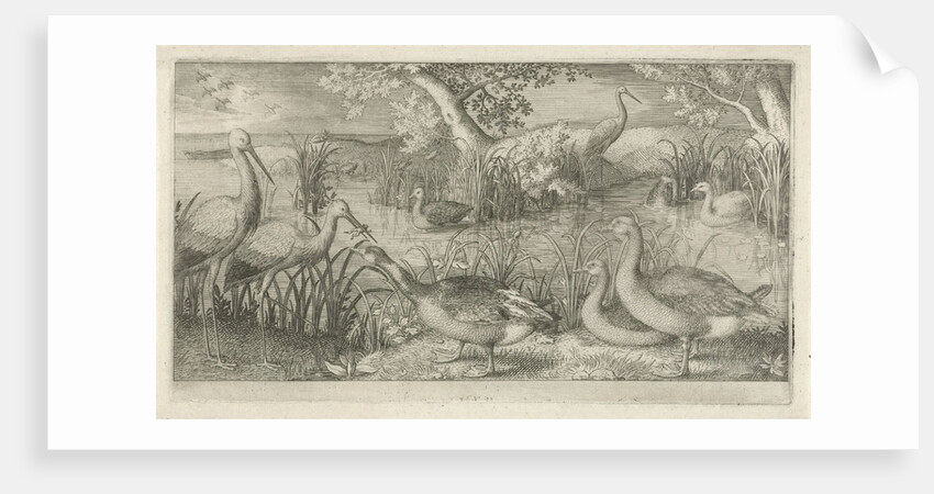 Waterfowl in a pond by Jan van Londerseel