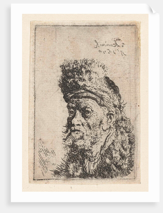 Bust of a man with fur hat by Salomon Koninck