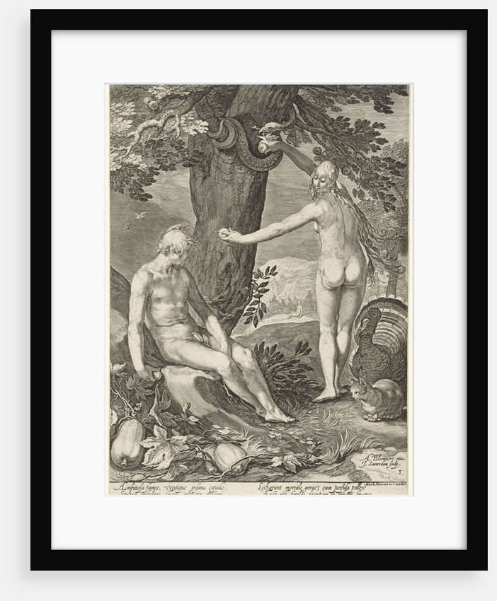 Fall by Isaac Houwens