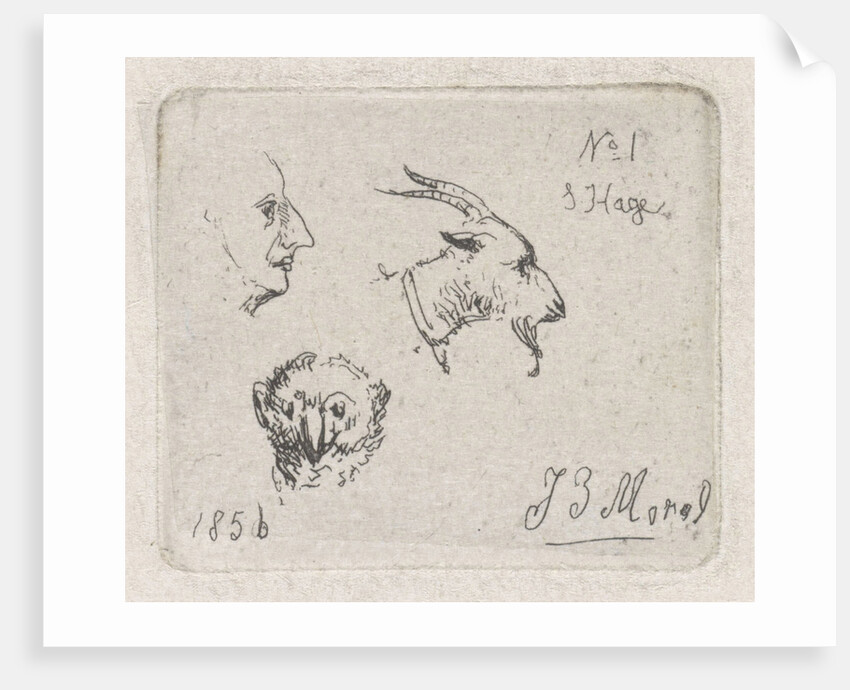 Mans Head, goat and owl by Jan Evert Morel II