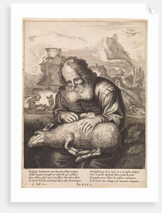 June: A shepherd shears a sheep by Joachim von Sandrart