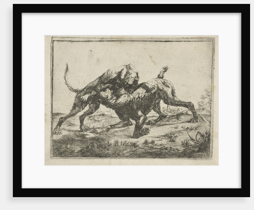 Fighting dogs by Pauwels van Hillegaert