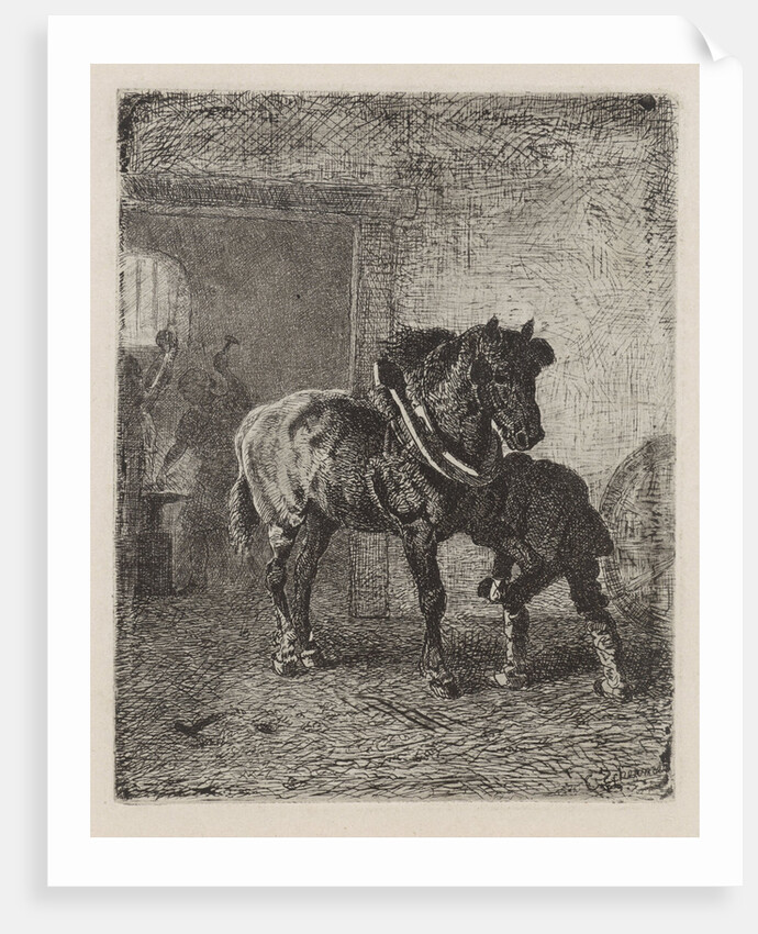 Horse gets horseshoes in a forge by Cornelis Albertus Johannes Schermer