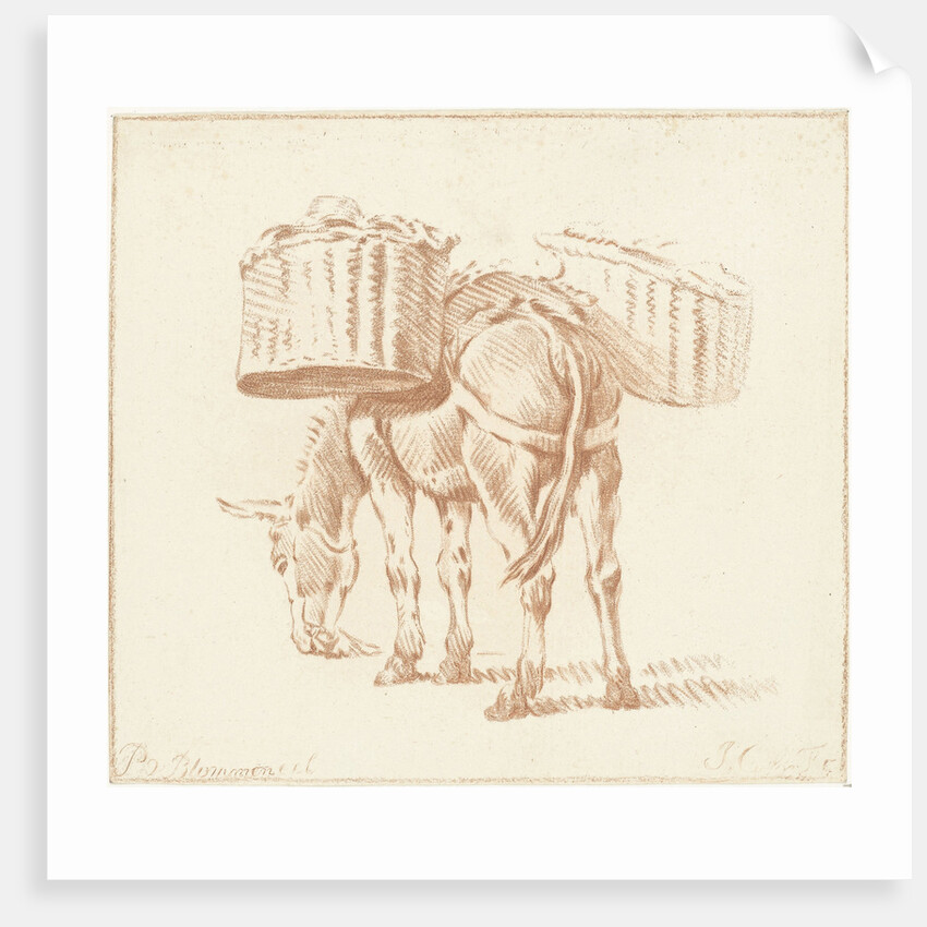 Loaded donkey by Jurriaan Cootwijck