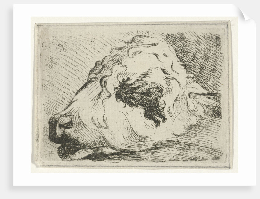 Head of a calf, in profile, resting on a beam by Hermanus Fock