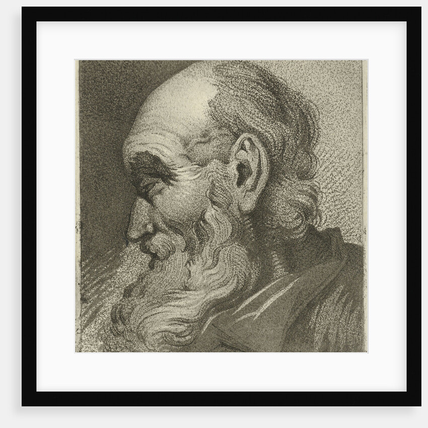 Portrait of an old man in profile by Hermanus Fock