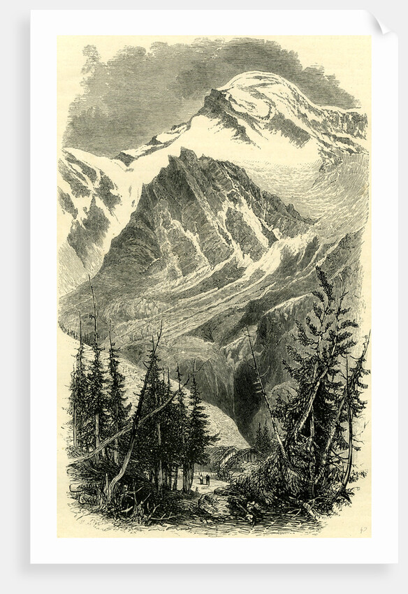 Head of the Val Anzasca Switzerland by Anonymous