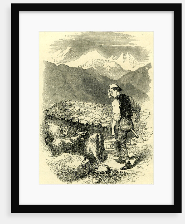 Swiss Cowherd Switzerland by Anonymous