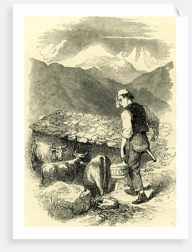 Swiss Cowherd Switzerland by Anonymous