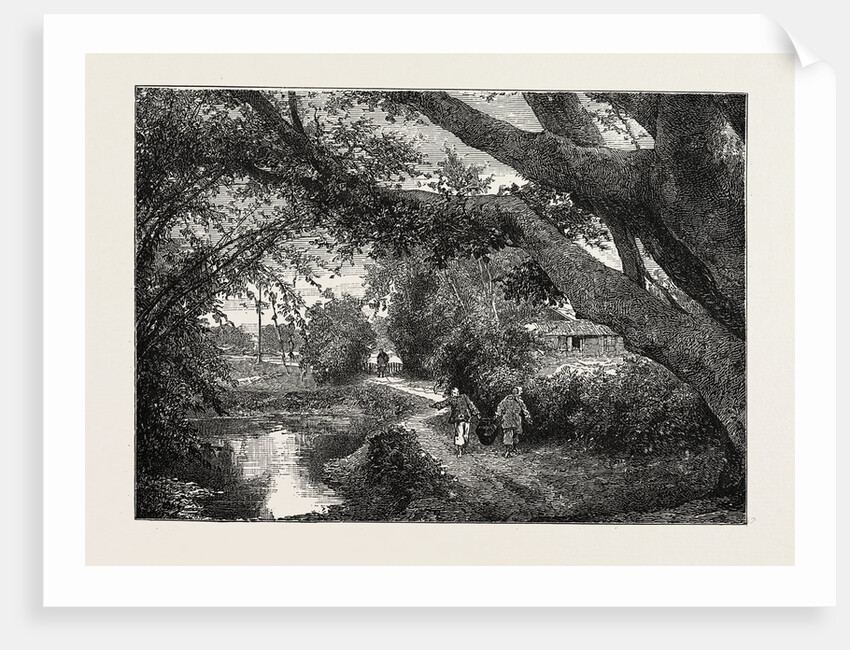 View in the Village of Wong-Tong, Province of Canton, China by Anonymous