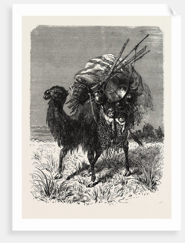 A Mongol Camel on the March by Anonymous
