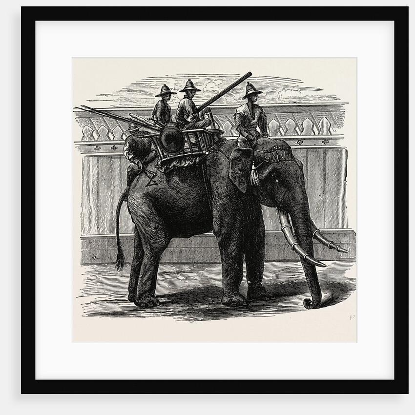 A Siamese War Elephant. by Anonymous