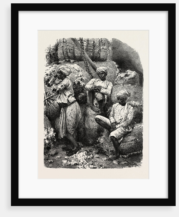 Indian Cotton Operatives by Anonymous