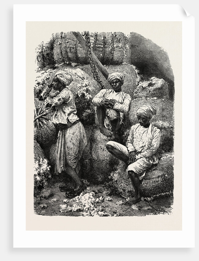 Indian Cotton Operatives by Anonymous