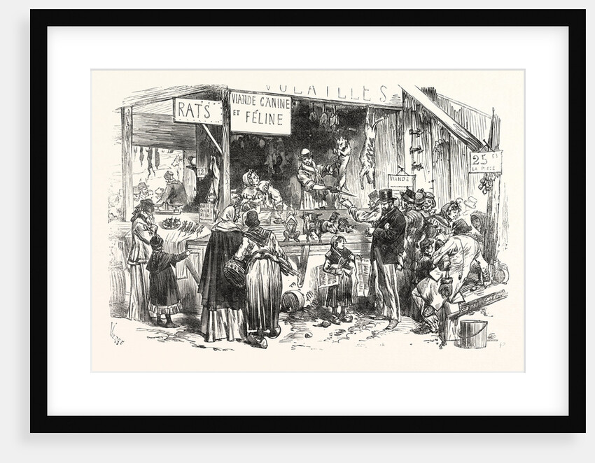 on the Market of St. Germain. At the Dogs and Cats Butcher. Fresh Rats, 1 Frank a Piece, 1871. France by Anonymous