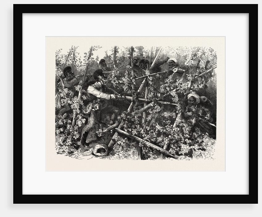 Fight Between the Bavarian Infantry, the Turcos and the Zouaves, in the Hop Fields Near Wissembourg the 4 August 1870 by Anonymous