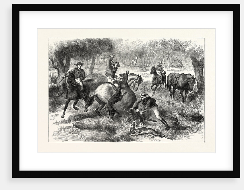 Kangaroo-Hunting in Australia by Anonymous