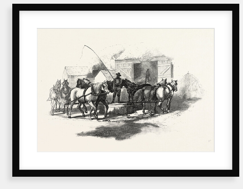 Threshing by Horse Power, Canada by Anonymous