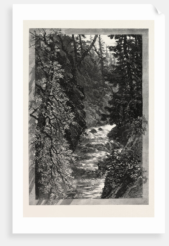 A Trout Pool on the Saugeen, Canada by Anonymous