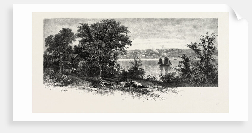 Port Perry, from Scugog Island, Canada by Anonymous