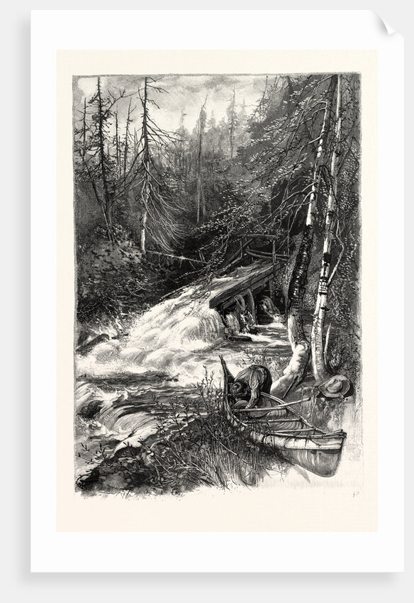 Forest Stream, and Timber Slide, Canada by Anonymous