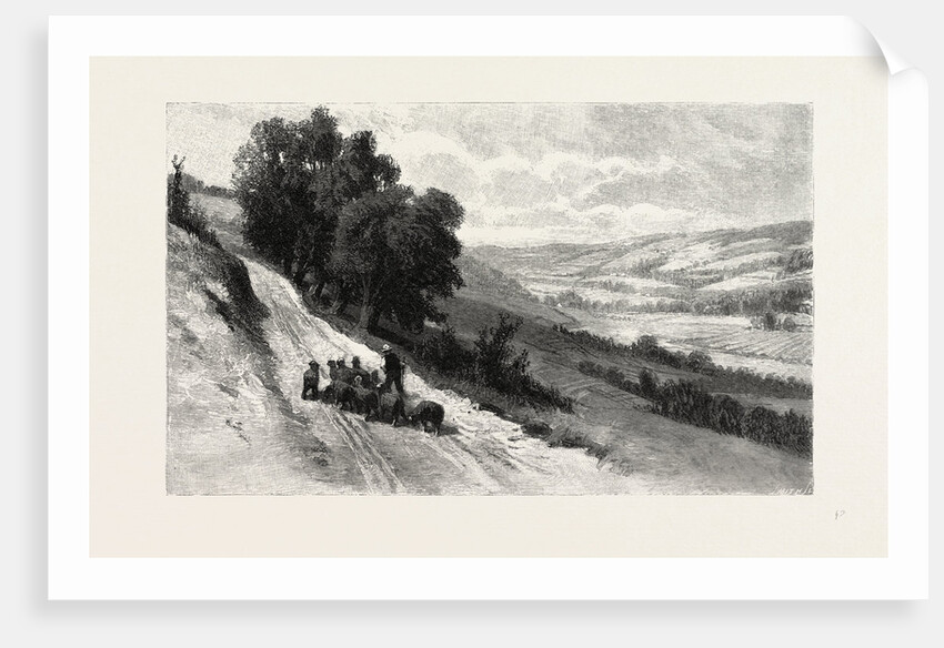 Nova Scotia, Valley of the Gaspereau, Canada by Anonymous