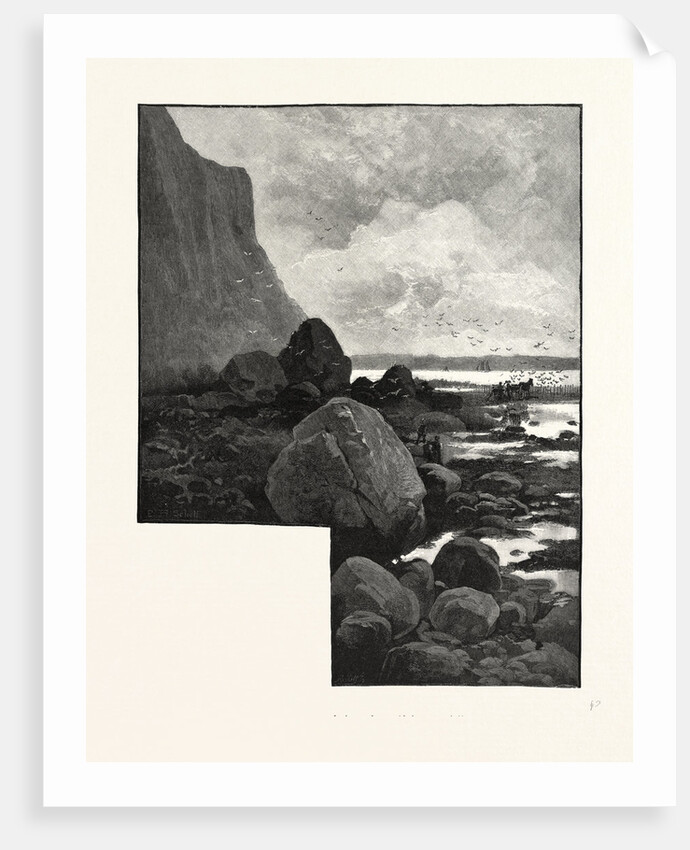 Nova Scotia, Cape Blomidon, Minas Basin, Canada by Anonymous